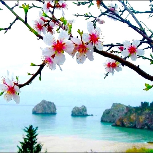 Meet your Posher, Joan 💐 - Picture 1 of 1